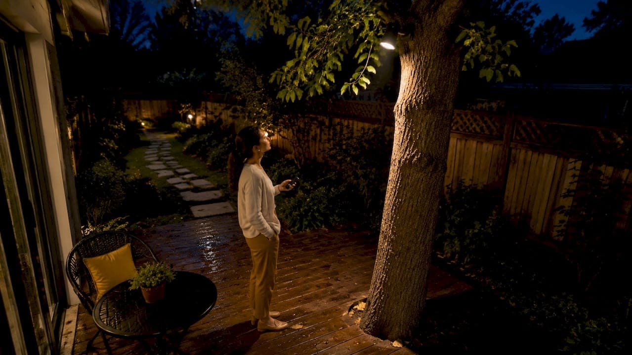What Is Downlighting in Landscapes: A Homeowner's Guide